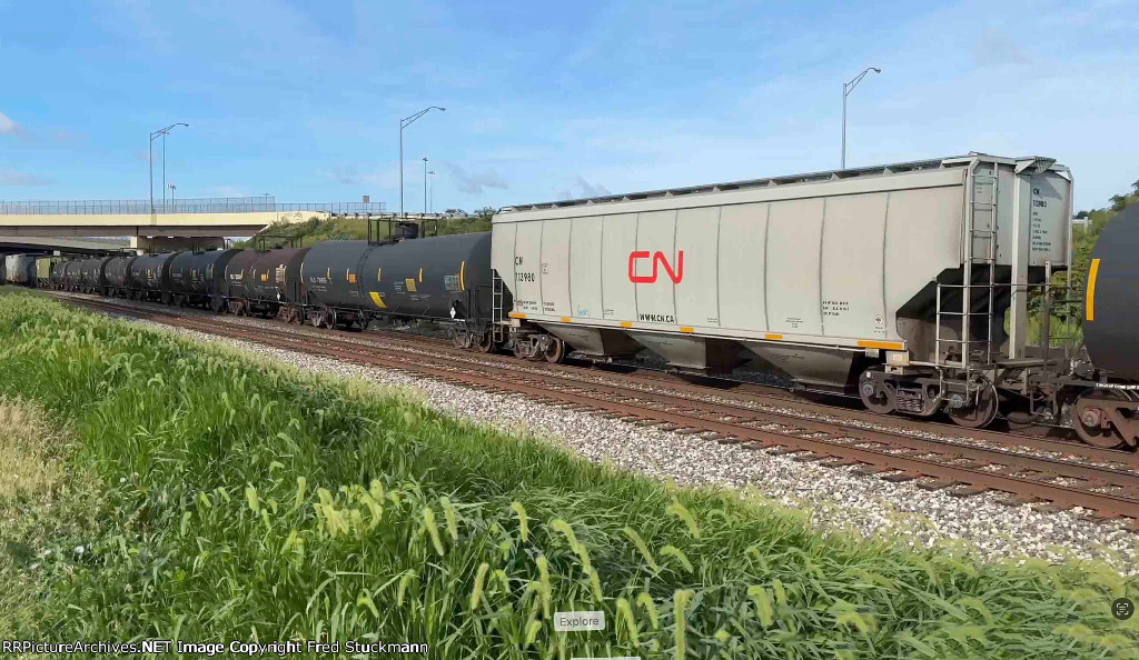 CN 113989 is new to rrpa.